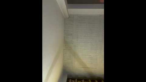 aly_golden_ @ stripchat on 20260104