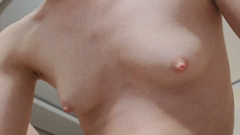 elis_fox @ stripchat on 20260104