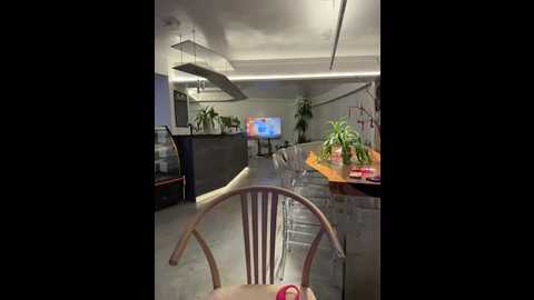 linjianvhai @ stripchat on 20260104