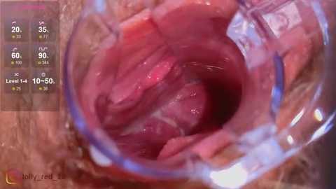 lolly_red_ @ stripchat on 20260104