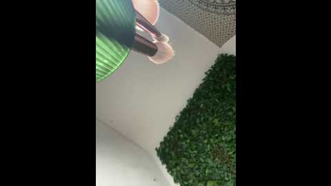 tamii_mara @ stripchat on 20260104