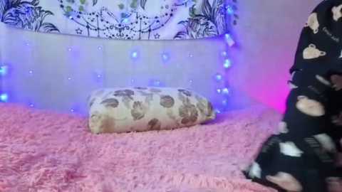 vett_kitty @ stripchat on 20260104