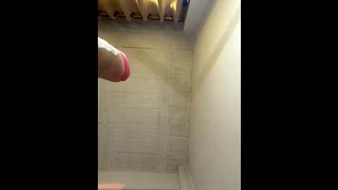 aly_golden_ @ stripchat on 20260105