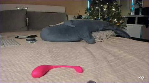 diamond_d_ @ stripchat on 20260105