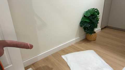 kelly_berry__ @ stripchat on 20260105