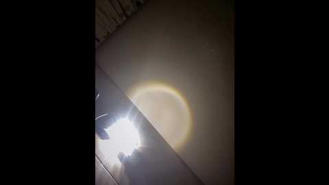 licky_lu @ stripchat on 20260105