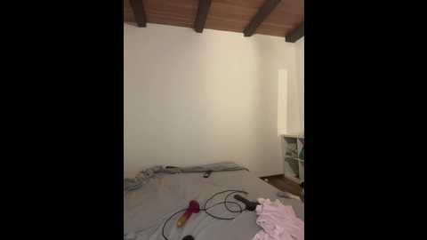 littlechaosqueen @ stripchat on 20260105