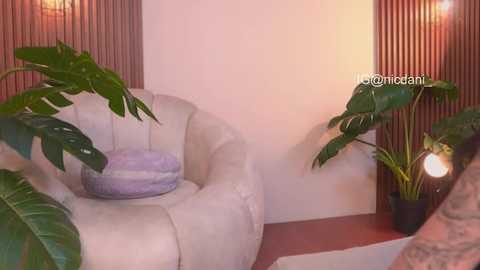 nicdani_1 @ stripchat on 20260105