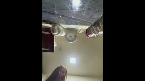 roouse @ stripchat on 20260105