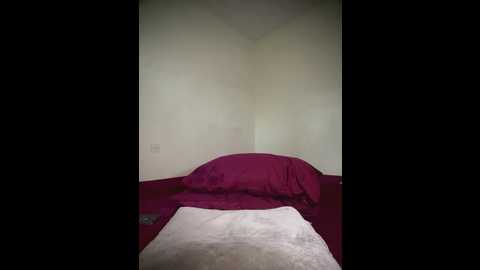 arabayla @ stripchat on 20260106