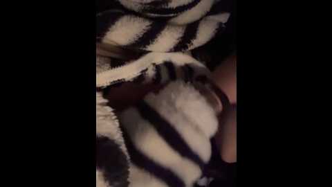 chunxiaoquqn @ stripchat on 20260106