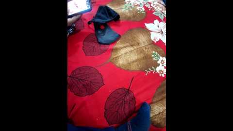 cute_palak001 @ stripchat on 20260106