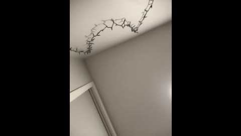 ghoulsnooze_19 @ stripchat on 20260106