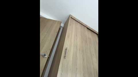 karinasantos_ @ stripchat on 20260106