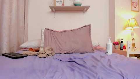 lauraraider @ stripchat on 20260106