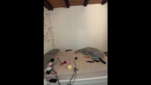 littlechaosqueen @ stripchat on 20260106