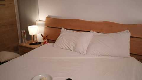 mbcaanna @ stripchat on 20260106