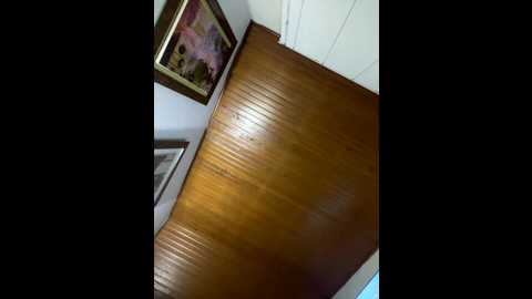 oh_nina @ stripchat on 20260106