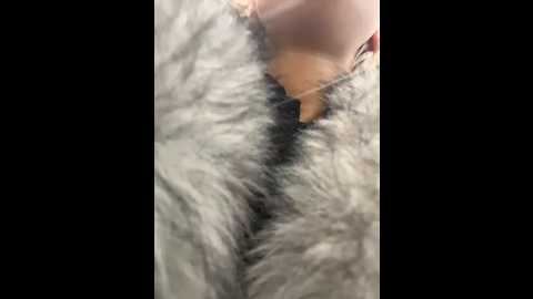 ashleymur @ stripchat on 20260107