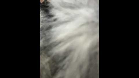 ashleymur @ stripchat on 20260107