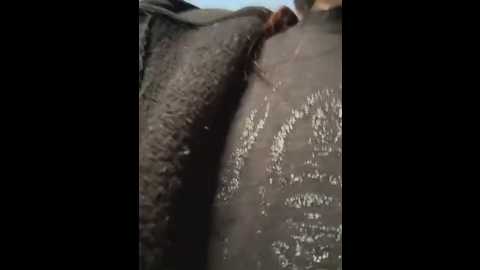 black_lust_bunny @ stripchat on 20260107