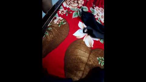 cute_palak001 @ stripchat on 20260107