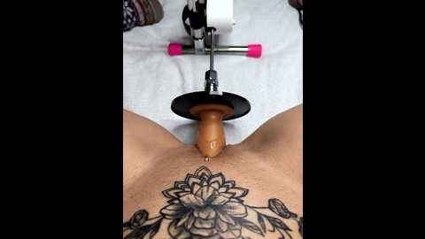 linalicious @ stripchat on 20260107