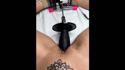 linalicious @ stripchat on 20260107