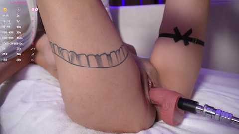 pattiowhite @ stripchat on 20260107