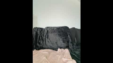 sophi_spice @ stripchat on 20260107