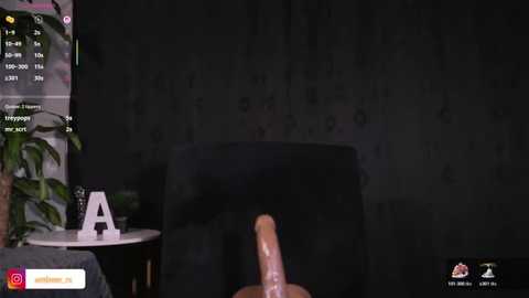 ambeer_rousess @ stripchat on 20260108