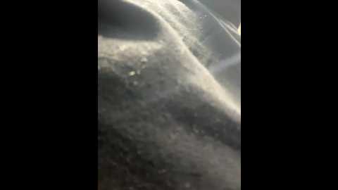 ashleymur @ stripchat on 20260108