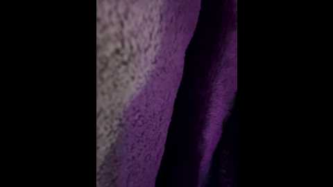 fiebie_licios @ stripchat on 20260108