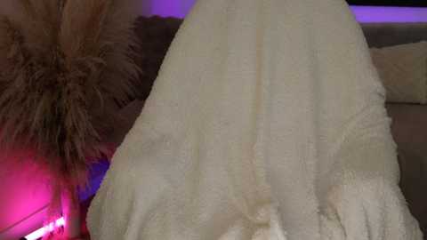 kairakampen @ stripchat on 20260108