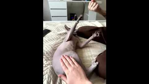 kate_town @ stripchat on 20260108