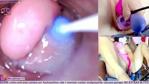 marybrook1 @ stripchat on 20260108