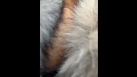 ashleymur @ stripchat on 20260109