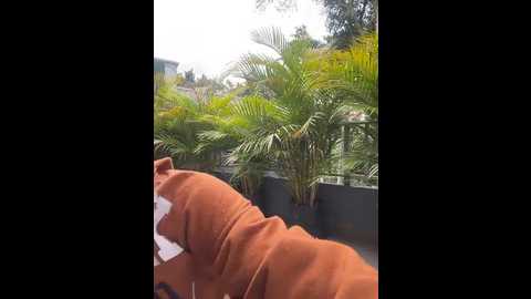 mystiquexxx @ stripchat on 20260109