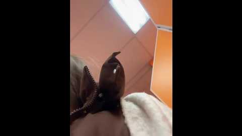 ttixmila @ stripchat on 20260109