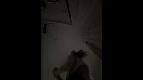 ellirose @ stripchat on 20260110