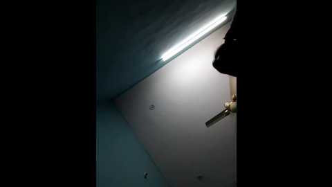 miss_alisha @ stripchat on 20260110