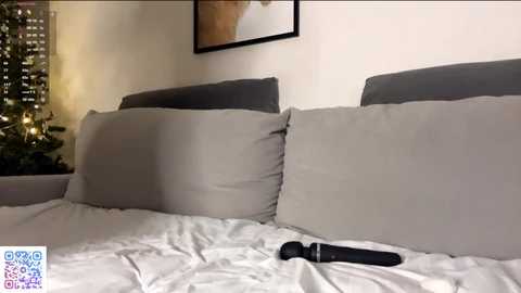 petulagunton @ stripchat on 20260110