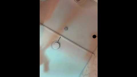 sophicarters @ stripchat on 20260110