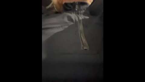 ashleymur @ stripchat on 20260111