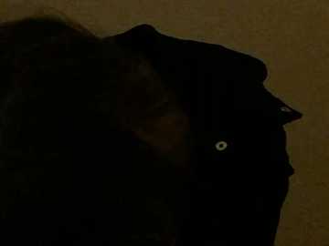 love_hate00 @ stripchat on 20260111