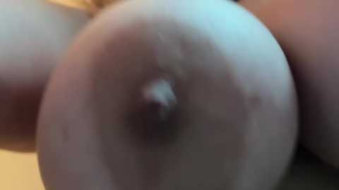 monageil @ stripchat on 20260111