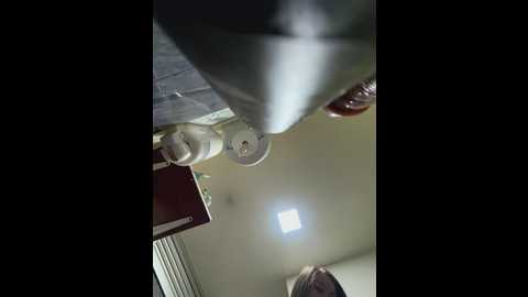 roouse @ stripchat on 20260111