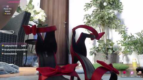 squirtmania @ stripchat on 20260111