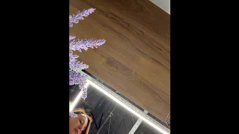 dina_tease @ stripchat on 20260112