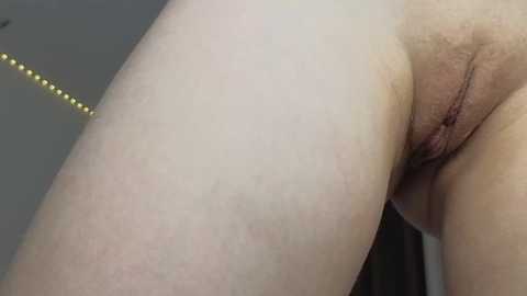 elis_fox @ stripchat on 20260112